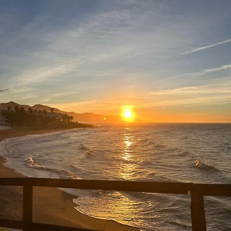 Casa Frijo Tropicana *