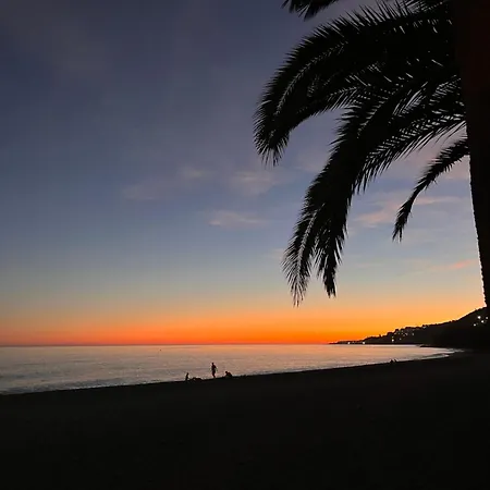 Appartement Casa Frijo Tropicana *