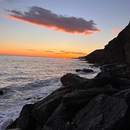 Appartement Casa Frijo Tropicana *