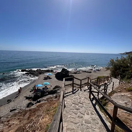 Casa Frijo Tropicana *