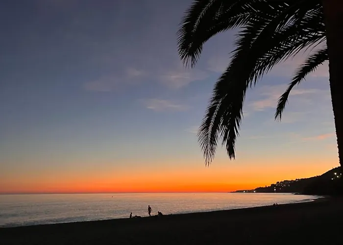 Апартаменты Casa Frijo Tropicana *