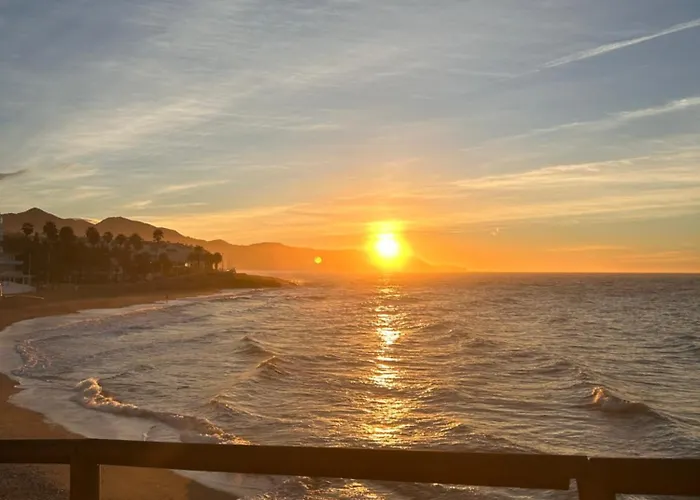 Casa Frijo Tropicana *