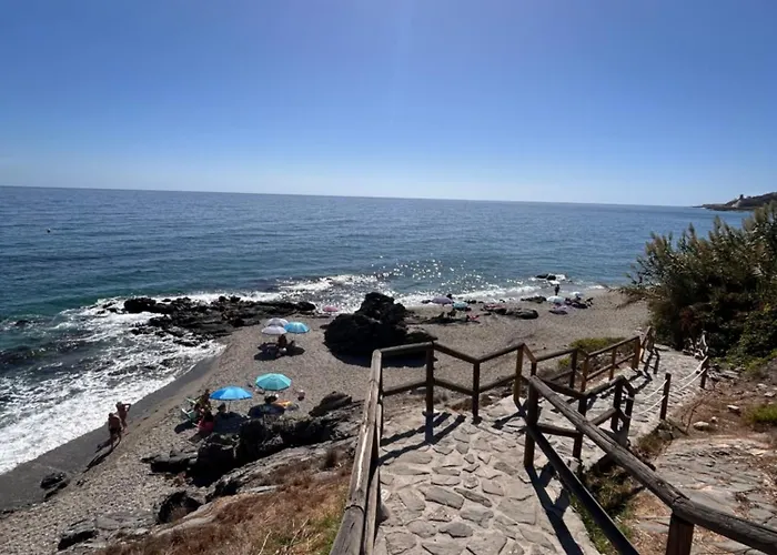 Casa Frijo Tropicana *